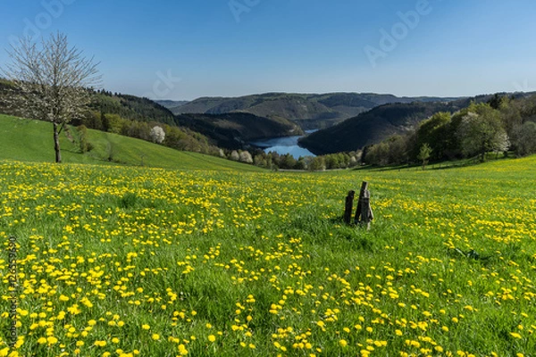 Obraz Frühling am See