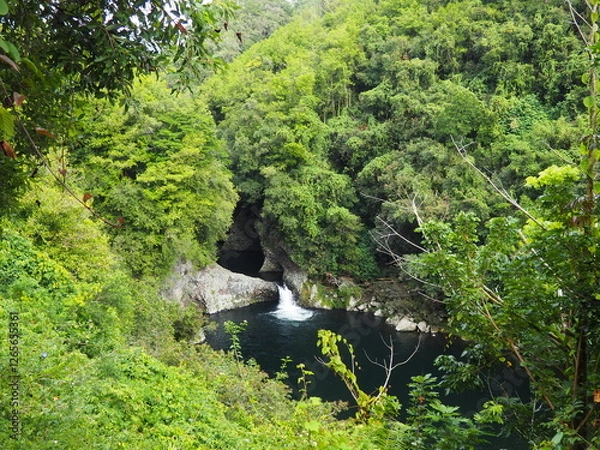Fototapeta Hidden waterfall pool surrounded by lush tropical forest
