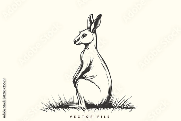 Fototapeta Kangaroo Vector Illustration