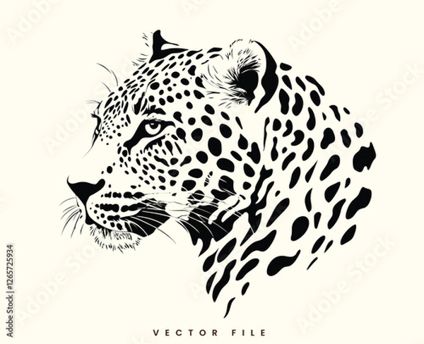 Obraz Leopard on white background with spots and fierce expression