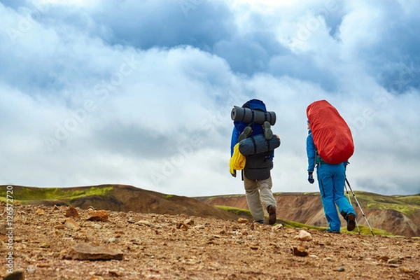 Fototapeta hikers on the trail in the Islandic mountains. Trek in National Park Landmannalaugar, Iceland