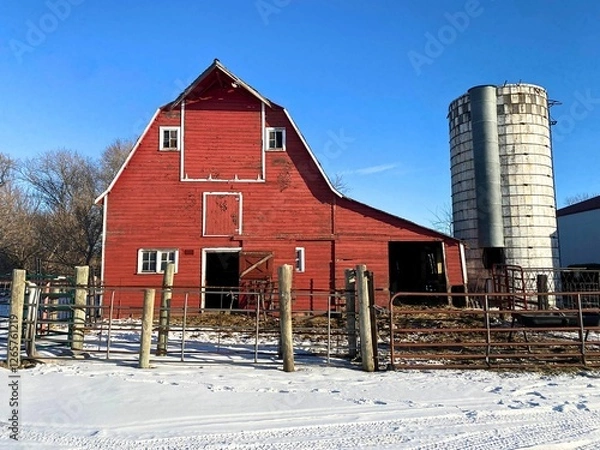 Obraz An old gambrel style barn still being used for cattle