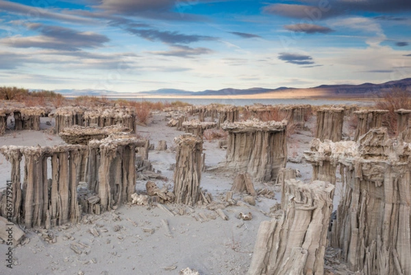 Obraz A Fragile Landscape