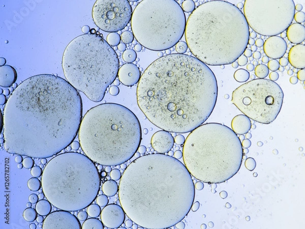 Fototapeta Yellow bubbles and drops of water and oil. Experience between art and biology. Imitation of cells on colored background. Gradient background from yellow to purple. Macro photography.