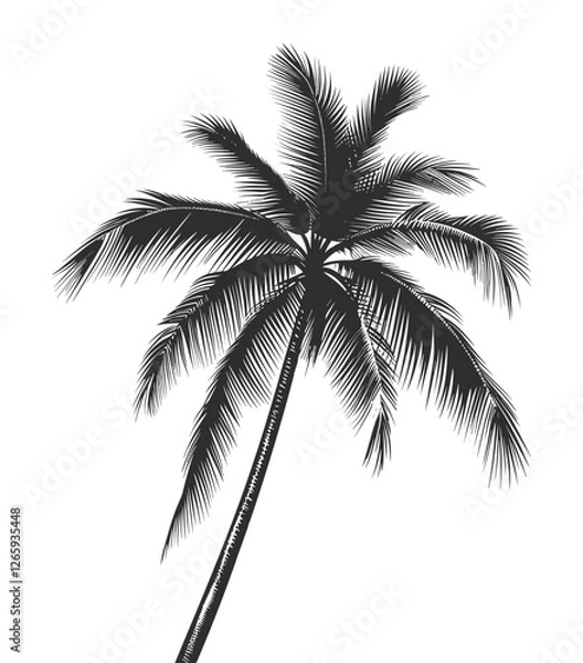 Fototapeta silhouette of palm tree