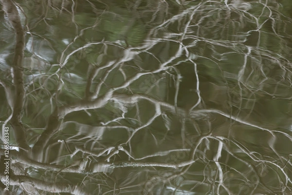 Fototapeta water surface with small waves reflecting twisted tree branches 2B 