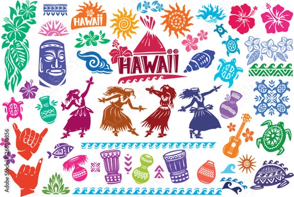 Obraz Traditional Hawaiian Symbols, colorful elements Set