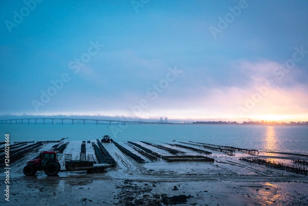 Obraz magnificent photo of oyster beds at sunrise on the ile de ré, France. the famous bridge in the background