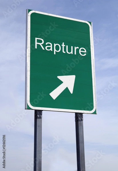 Obraz Rapture