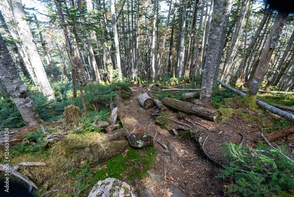 Fototapeta Kunishigatake, Koubushigatake and surrounding views