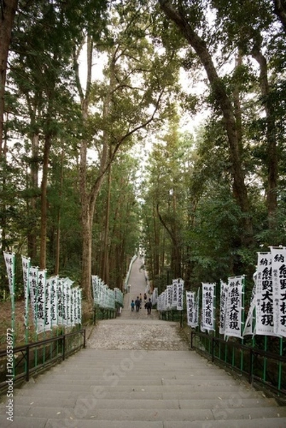 Fototapeta 森を抜けて神社の境内に伸びる階段
