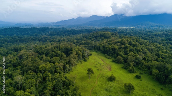 Fototapeta lush green landscape with mountains in background