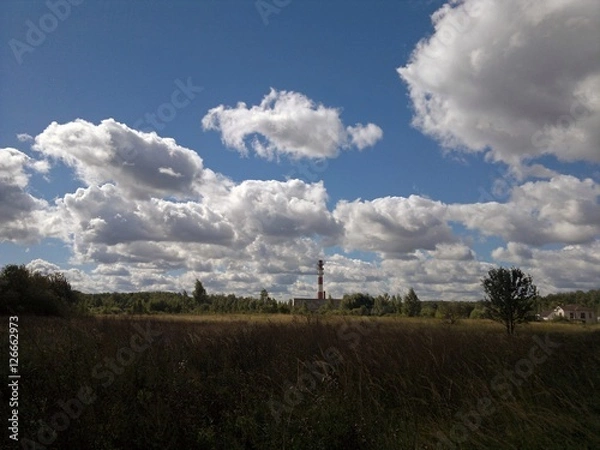 Obraz природа