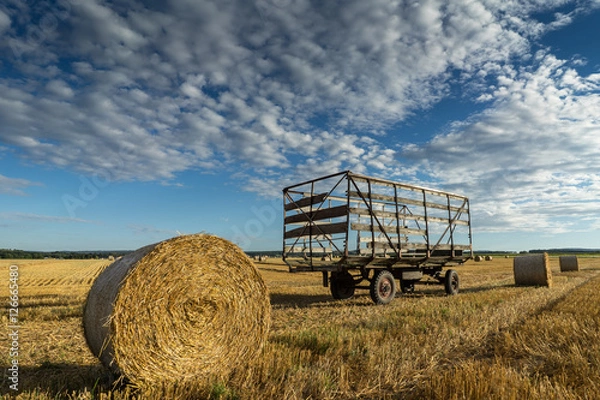 Obraz Nach der Ernte