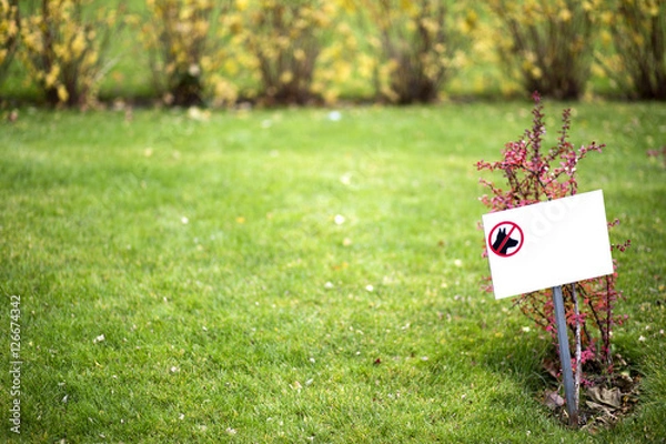 Obraz No dogs on grass