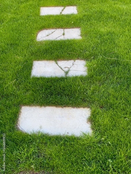 Obraz Stepping Stones on Green Grass. Stepping stones on lush green grass, perfect for garden and landscaping projects.