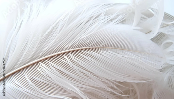 Fototapeta delicate white feather close-up showcasing intricate details and soft texture against a light background