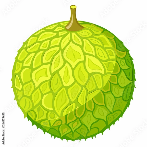 Fototapeta bulging breadfruit sphere  isolated on white