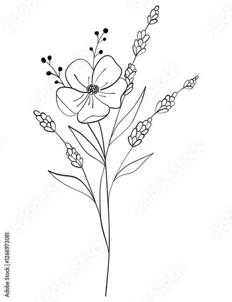 Fototapeta tiny wild flowers and plants line art botanical illustrations. Trendy greenery hand draw lines black ink sketches. vector illustration