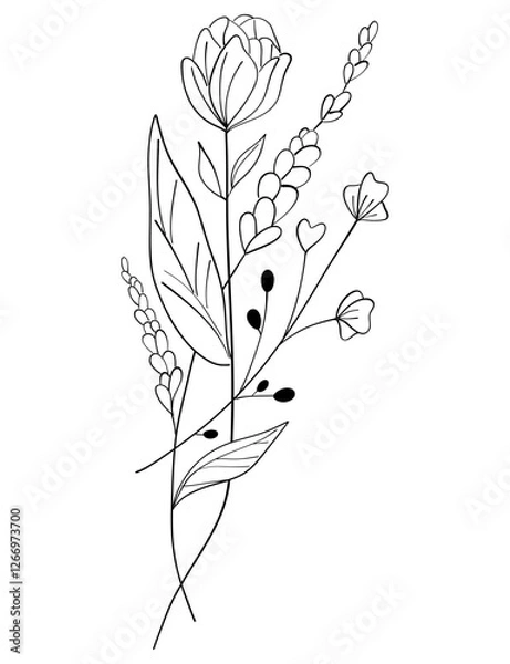 Fototapeta tiny wild flowers and plants line art botanical illustrations. Trendy greenery hand draw lines black ink sketches. vector illustration
