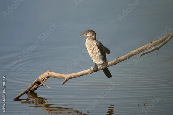 Fototapeta Generated image