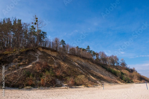 Fototapeta Eroded Sand Cliffs with Forest Above a Sandy Beach in Jastrzębia Góra on a Sunny Day