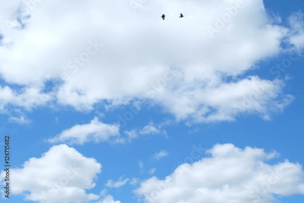 Fototapeta blue sky.