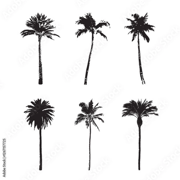Fototapeta Set of palm trees in black and white silhouette icon vector drawing