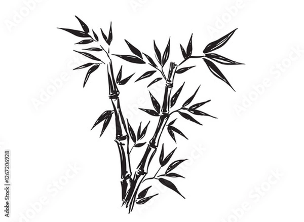 Fototapeta Bamboo tree on white, Hand drawn style. Vector.	
