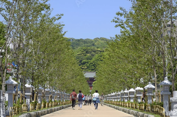Obraz 鶴岡八幡宮