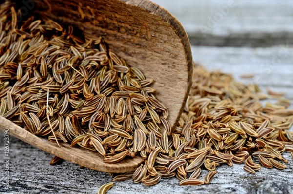 Obraz caraway in scoop on table