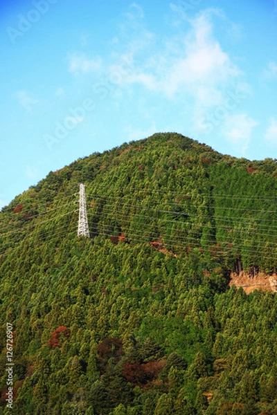 Fototapeta high voltage post