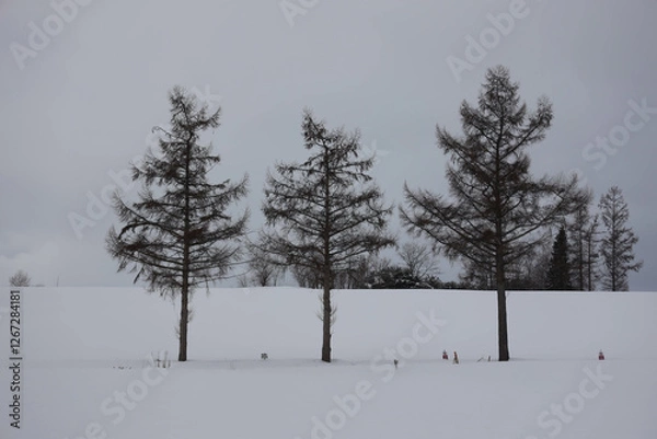 Obraz pine tree in snow