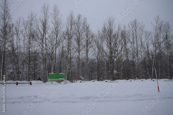 Obraz Tree coverd by snow