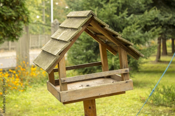 Fototapeta Bird feeder