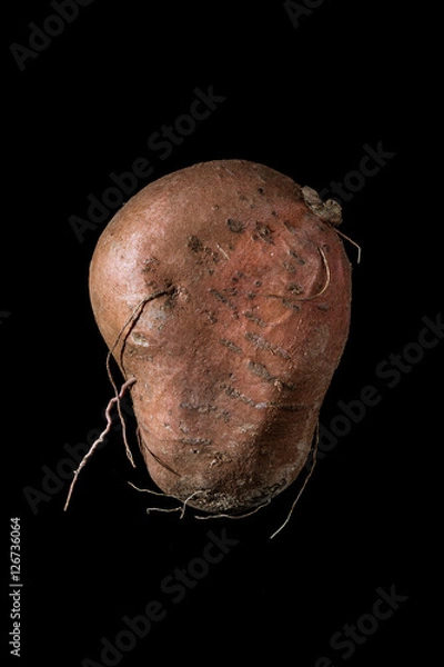 Obraz Sweet Potato