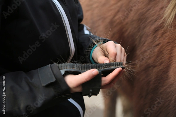 Obraz Hintergrund Bild von einem Pferdehof