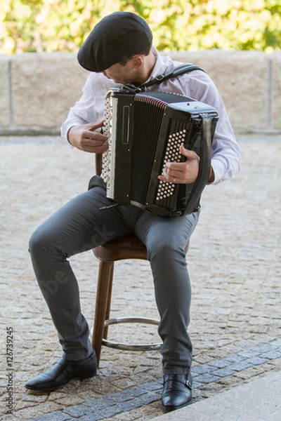 Obraz Músico tocando el acordeón
