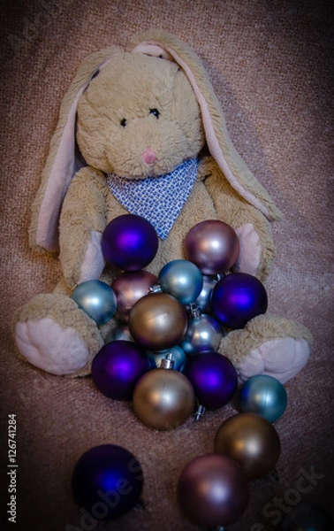 Obraz Christmas bunny