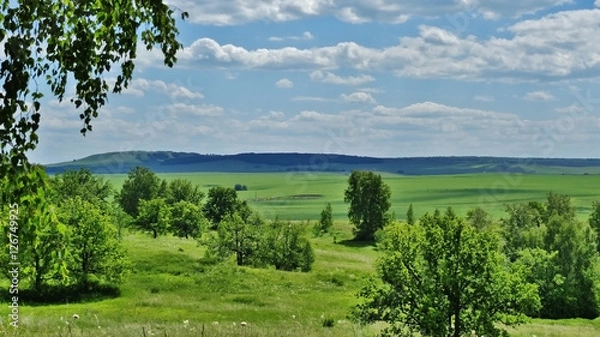 Obraz beautiful steppe
