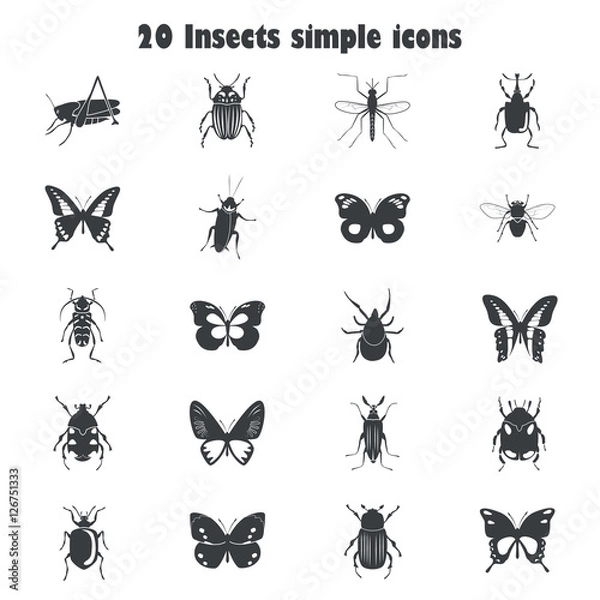 Fototapeta Different insects icons set for web and mobile design