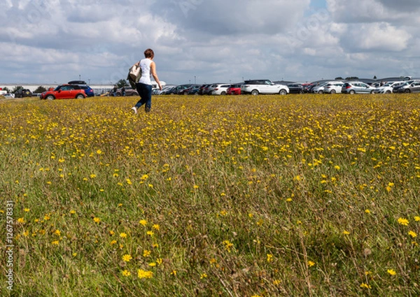 Fototapeta A woman walking across the field towards the car park at Wellesbourne Airfield Market, held weekends and bank holidays. Image with copy space.