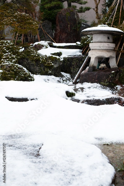 Fototapeta 冬の庭