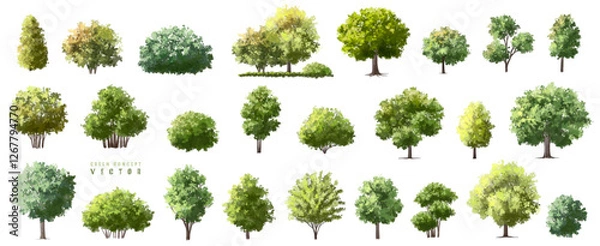 Fototapeta  Vector watercolor green  tree or forest side view isolated on white background for landscape and architecture drawing,elements for environment or and garden,Shrub for section