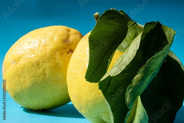 Obraz Lemon