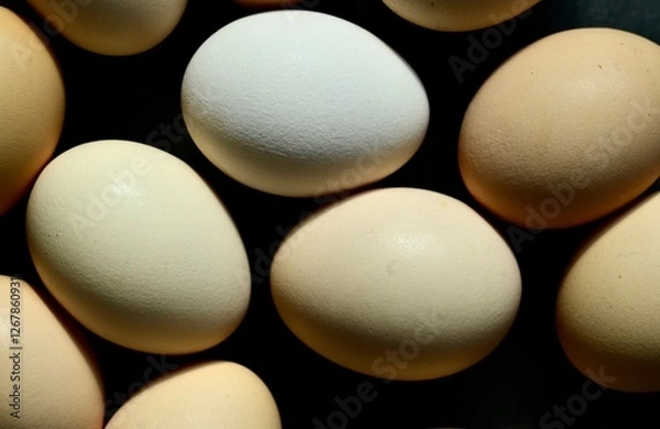 Fototapeta Colorful farm eggs. Abstract-art composition of eggs.