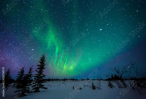 Obraz Aurora Borealis