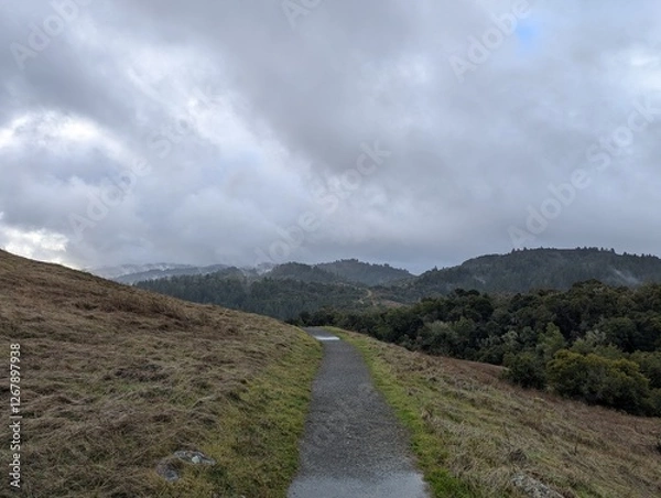 Obraz A hiking trail on a cloudy, winter day