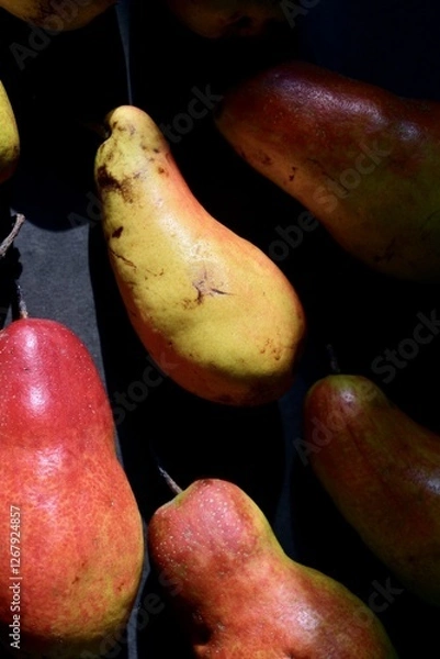 Fototapeta Pears-are colorful, hardy and delicious. For nutrition, vitamins and veganism, as well as for diet and wellness.