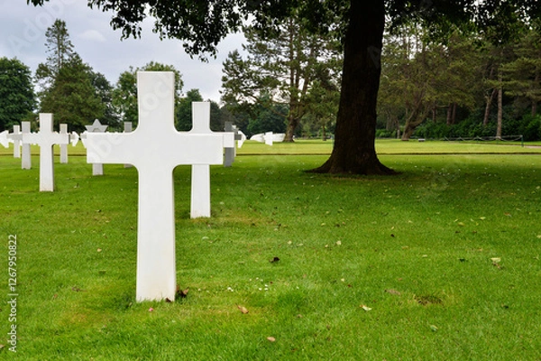 Fototapeta Graves of soldiers killed in World War II during the Normandy landings in an American military cemetery